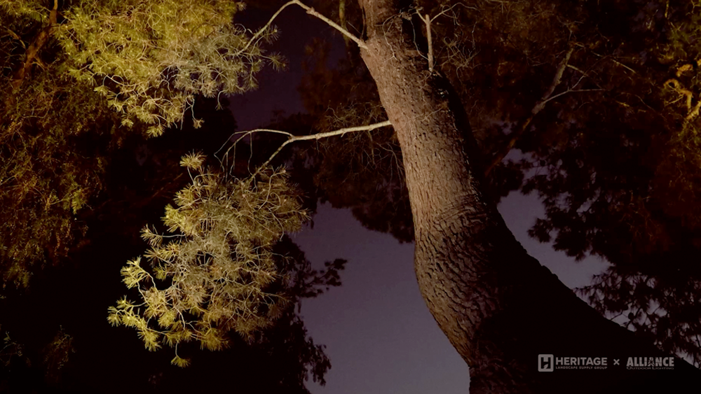 Ilustración visual de una sólida red Bluetooth® Mesh con extensores de rango bt de Alliance