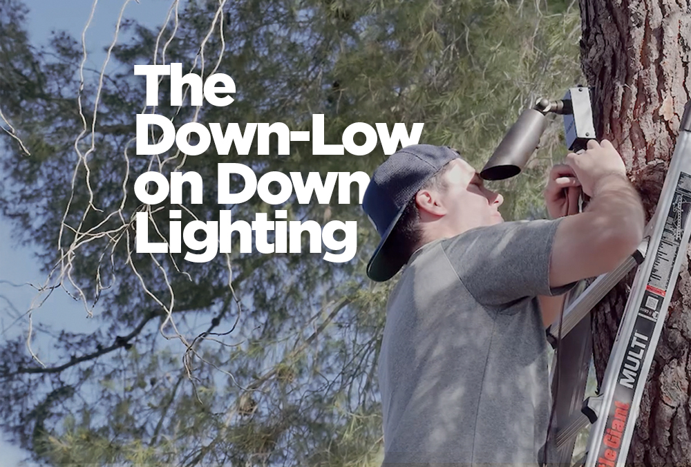 Featured image for “Tree-Mounted Downlighting: Tips for a Cleaner, More Natural Look”